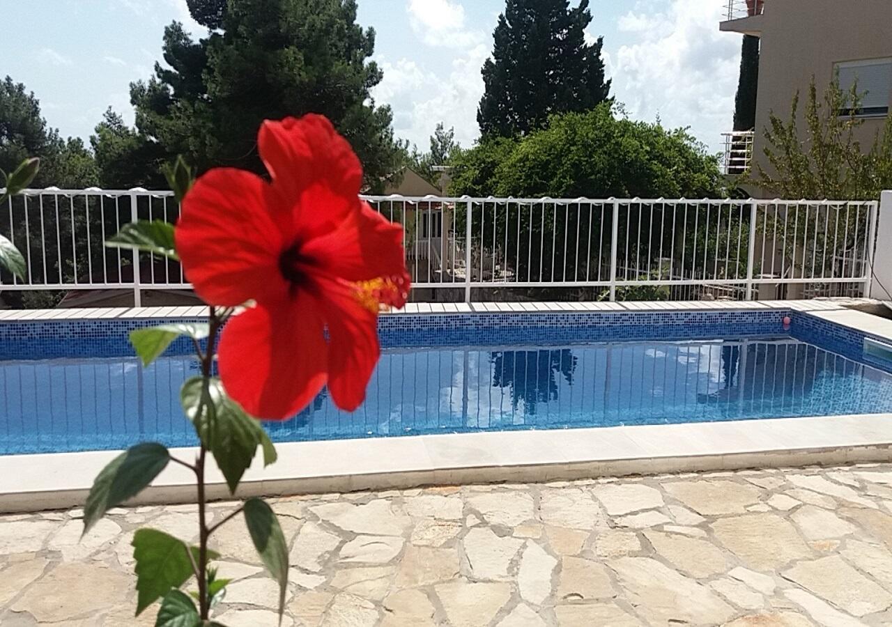 Apartment Tijana Bar Bagian luar foto